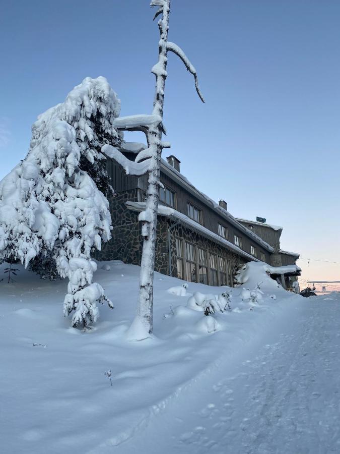 Holysuites 2 - Ski-In And Out Apartment In The Middle Of Ski Slopes In Pyhae Pyhätunturi Exterior foto